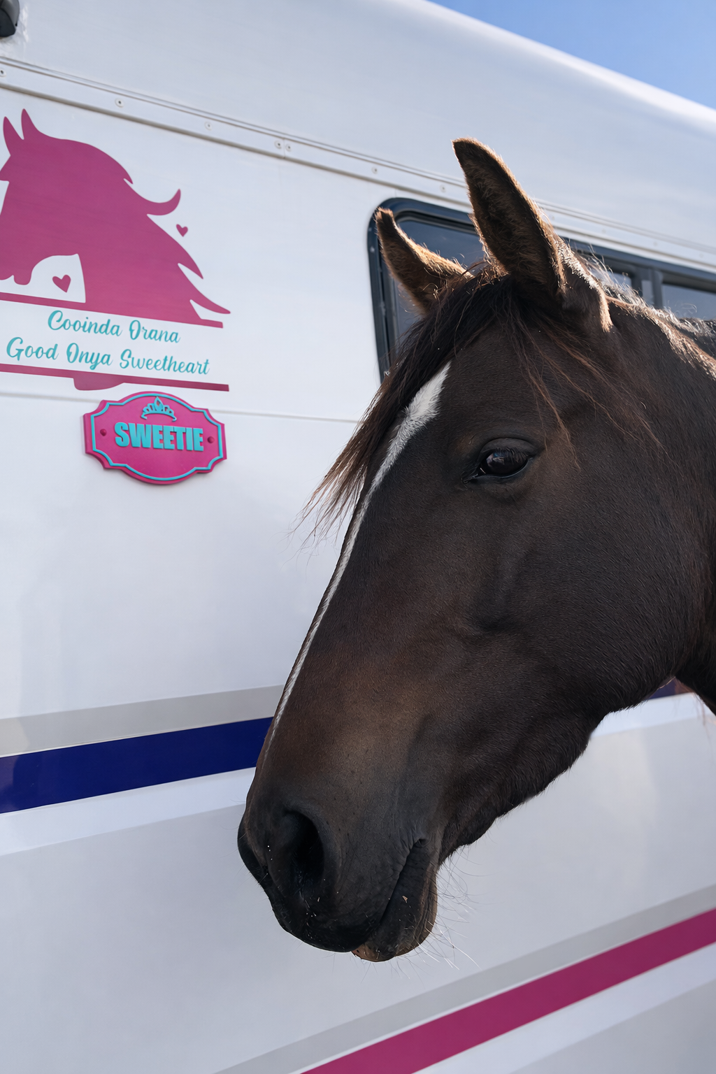 Personalised Horse Stable Sign