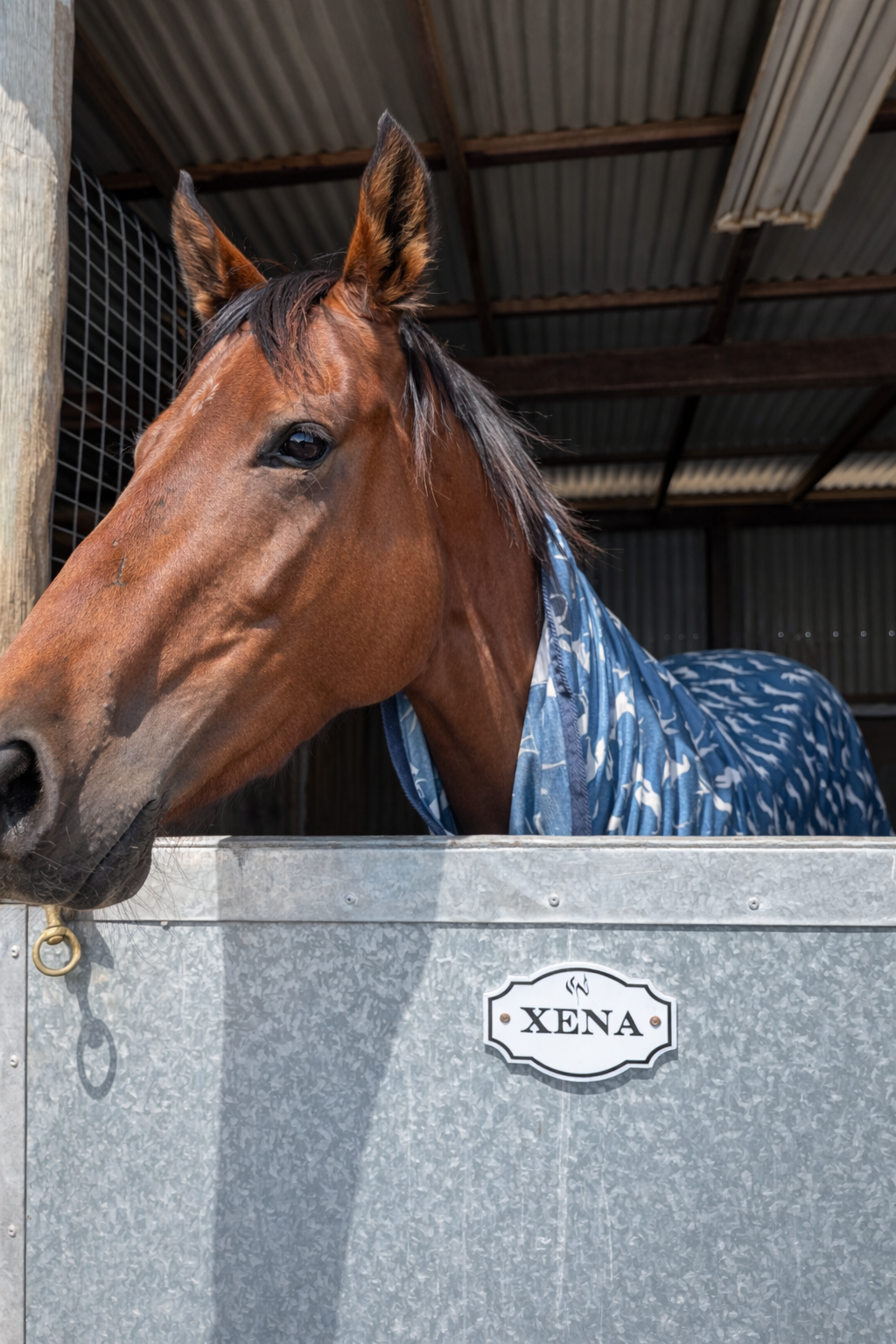 Personalised Horse Stable Sign